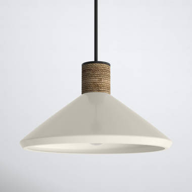 (Set of 2) Birch store Lane Single Dome Pendant Lights